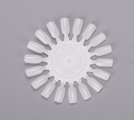 18 van de Kunsthulpmiddelen van de uiteinden plactic ronde Spijker van de de spijkerkleur de grafiekvertoning