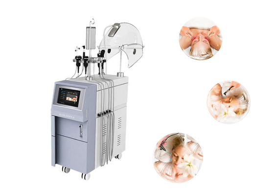 Rf-Zuurstof Gezichtsmachine, de Multifunctionele Machine van de Zuurstofschoonheid