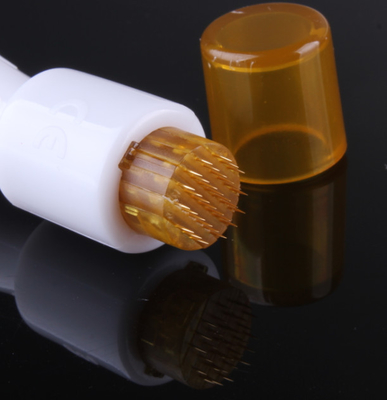 De medische Rol van Naaldderma thuis, de Rol van 35 Naaldderma