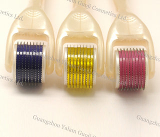 De 2.5 mm/3,0 mm rimpels grootte Micro naald Roller met veiliger Titanium Plastic voor Remove