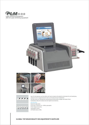 Van de het Vermageringsdieetschoonheid van de diodelaser de Machine650nm Grijze Desktop voor Huis