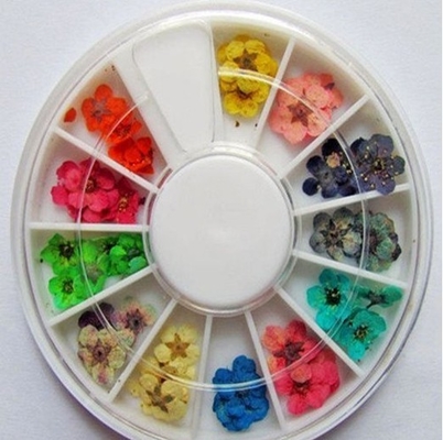 De droge Bloemen drogen Acryl de Decoratieontwerp van de Spijkerkunst